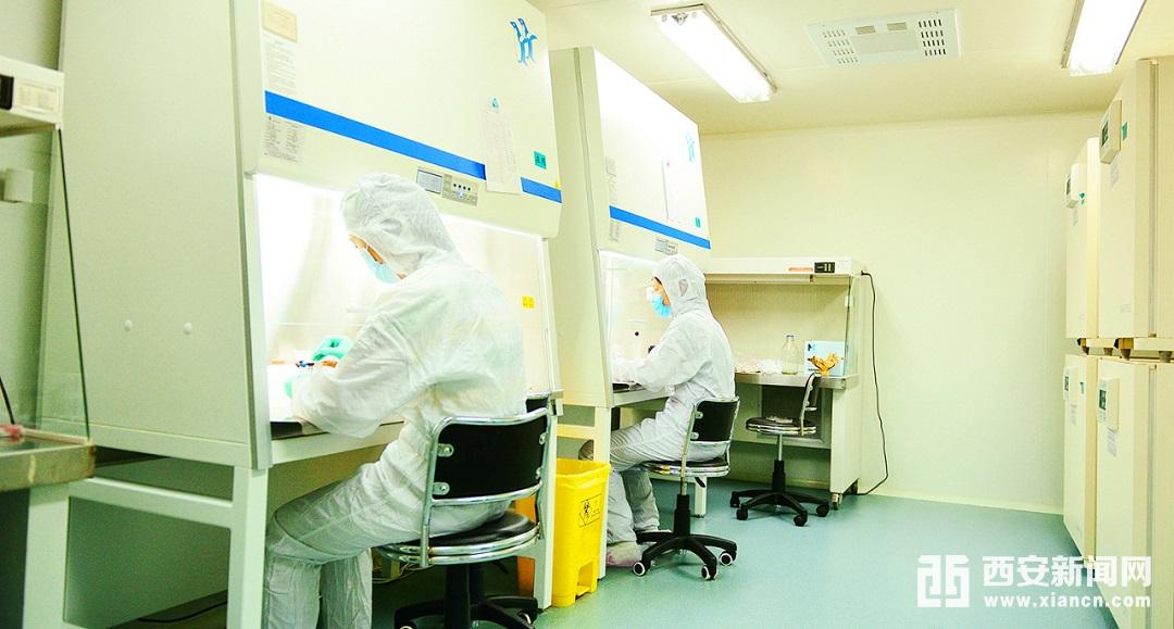 秦漢新城大健康產業發展提速 又一大型GMP生物實驗室投用在即